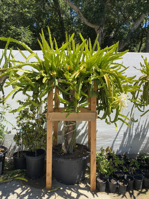 EB6C9DB4-03C5-4509-956F-FD8389E2C191