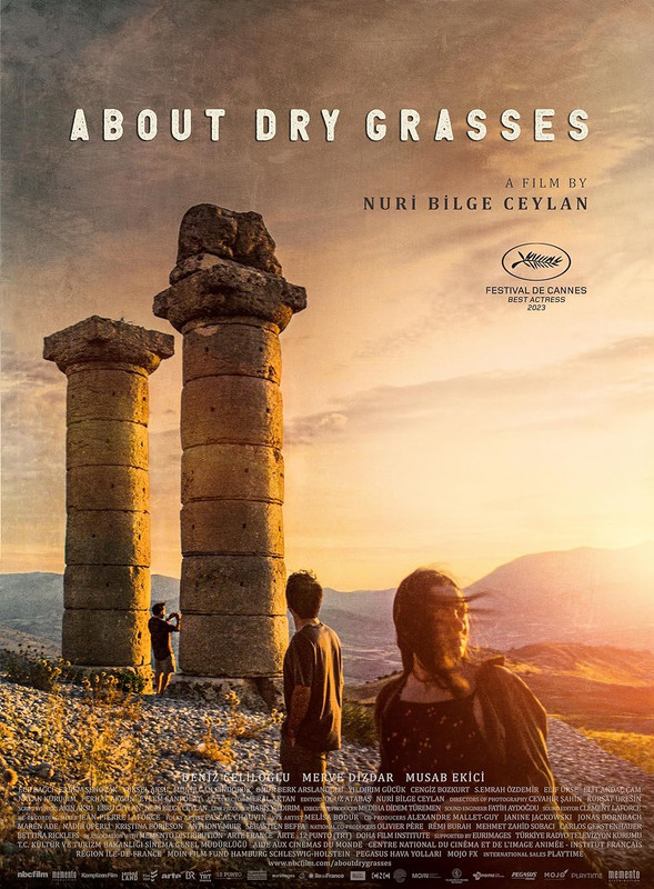 About Dry Grasses