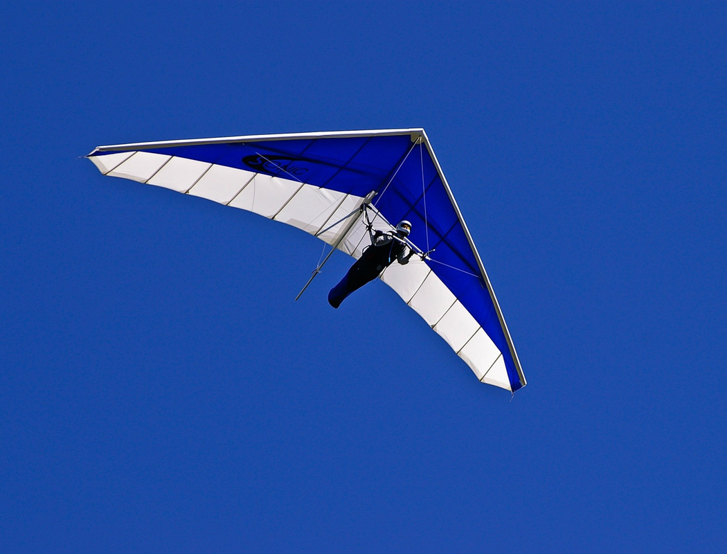 Bluemanairglider.jpg