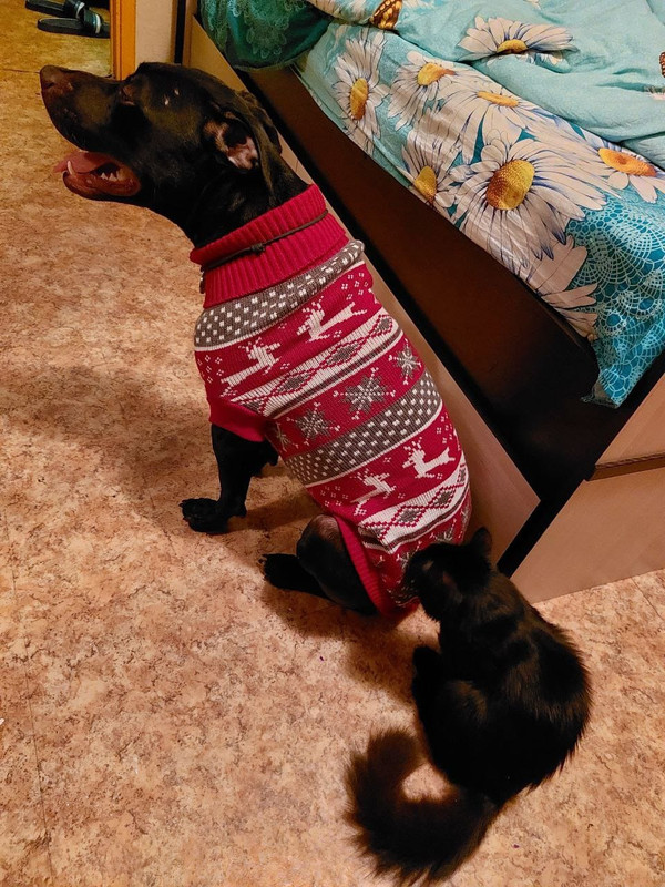 8F5537AD-BEE3-4849-92CA-C5C0753118C2