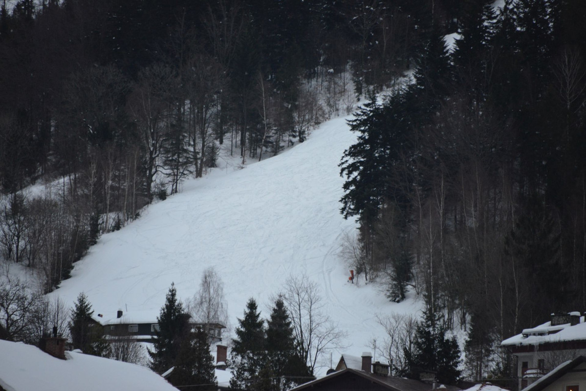Bie-kula-2.jpg