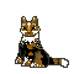 calico.gif