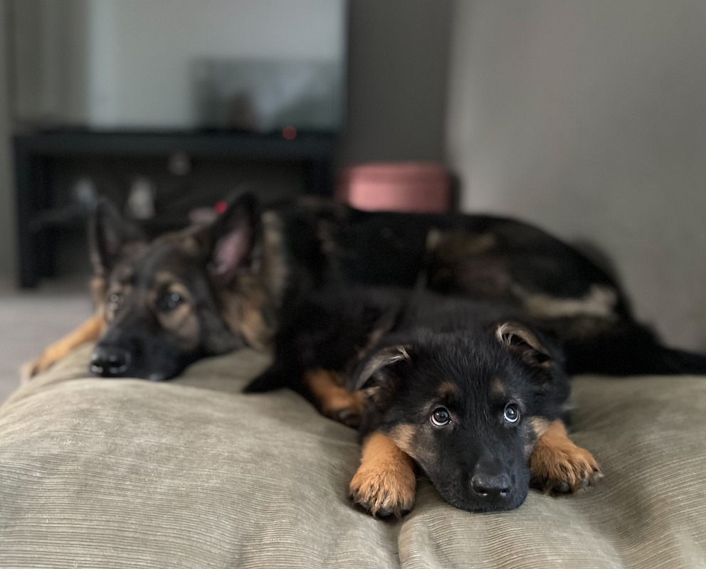 D5B4297D-DD3E-4746-A66C-58FBE7F04132