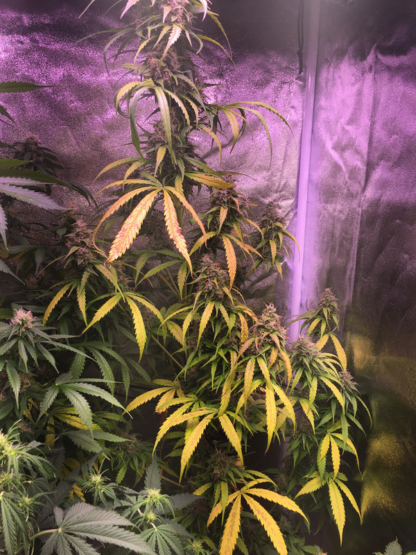 992F286F-6D52-4D30-B6B1-F2E4D4EE747F