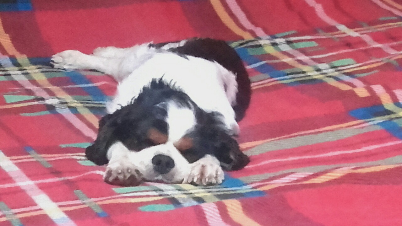 A237F98A-548A-44DC-A6CD-6FA08C9D26FD