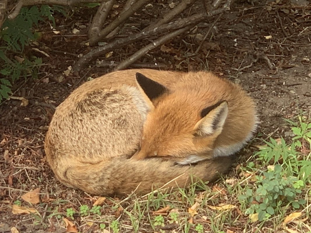 B8FC93D8-5996-4327-943E-8E1B1648DCF9