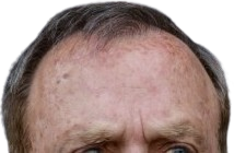 https://i.postimg.cc/xTssv4Y5/dickpic.png