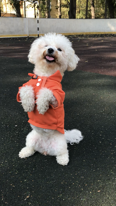 F78A2470-8302-48FA-A4D6-B91F8AE714A2