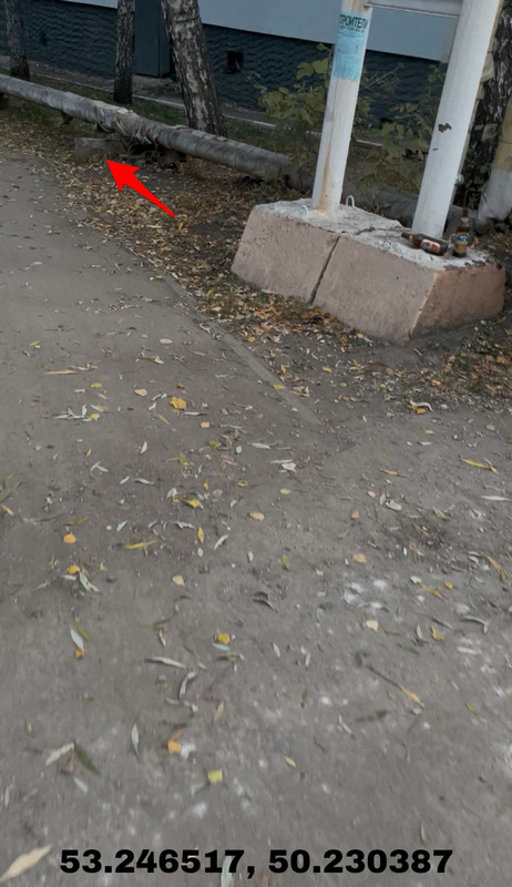 AEDCB825-1C77-4003-A42F-4D445DDFFAEC