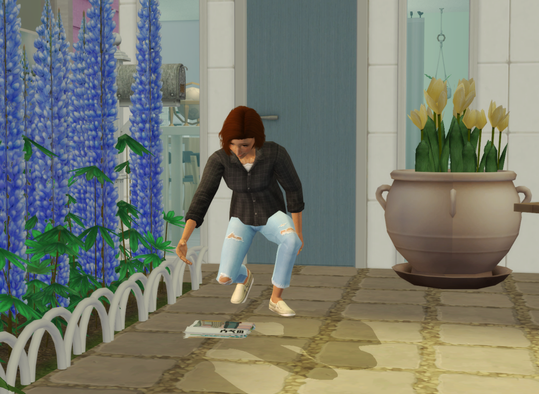 Sims2-EP9-RPC-2023-06-04-14-57-05-17