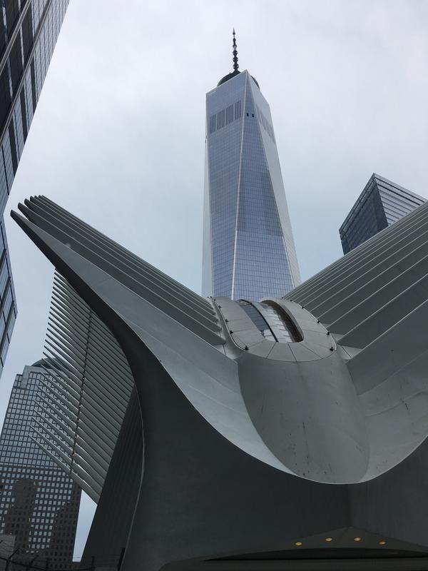 0302CE5A-7C9C-43B1-93DC-E079B42EDCE6