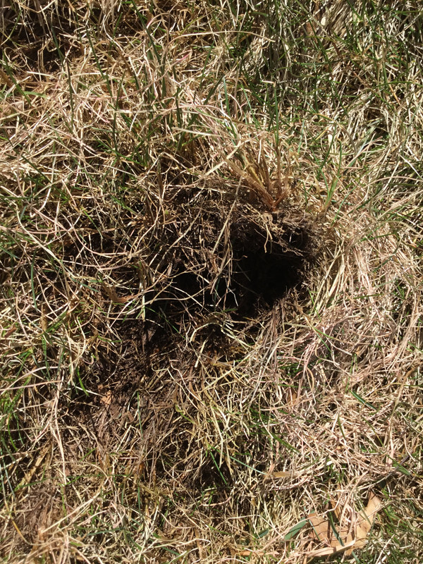 785F96CD-2384-44E1-A965-A71EF790AF0C