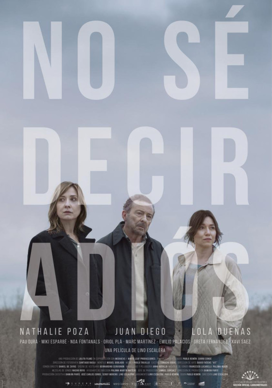 no se decir adios 933468405 large - No sé decir adiós Dvdrip Español (2017) Drama