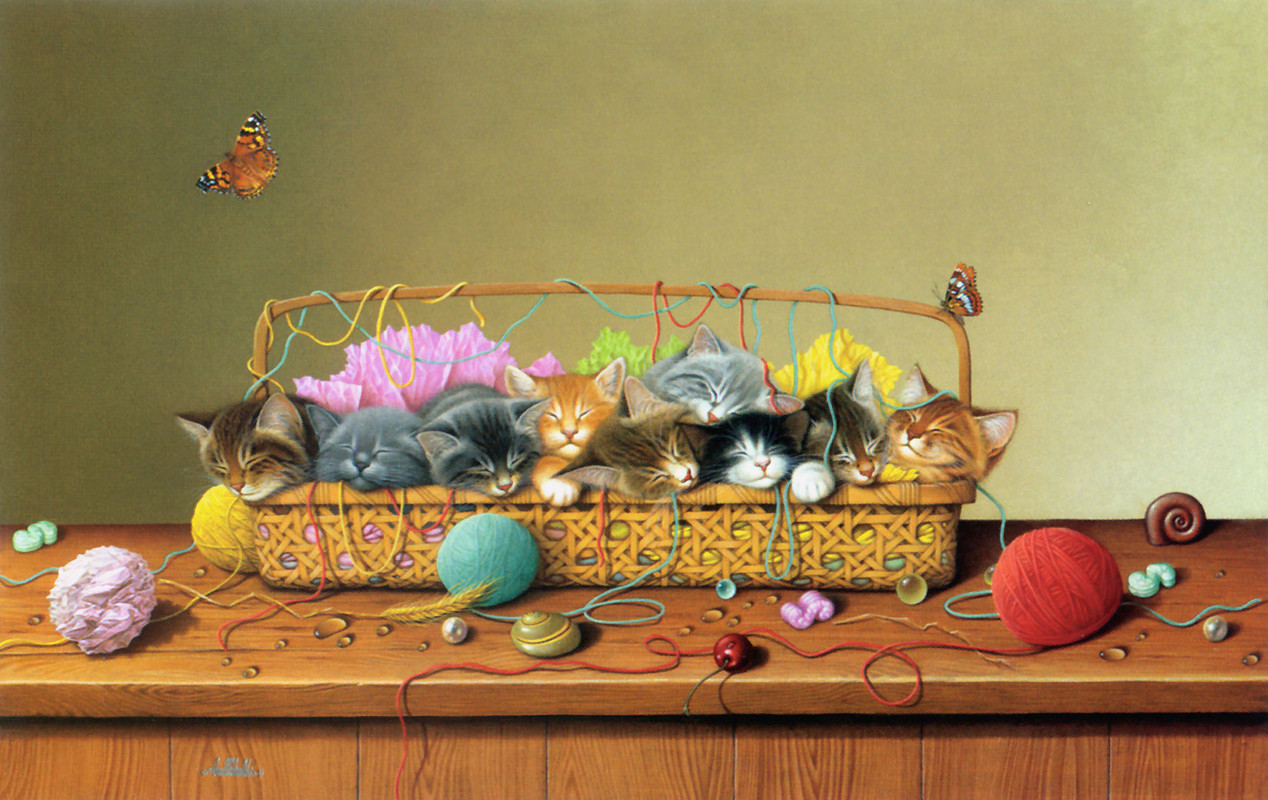 kb-Bralds-Braldt-Kitty-Litter