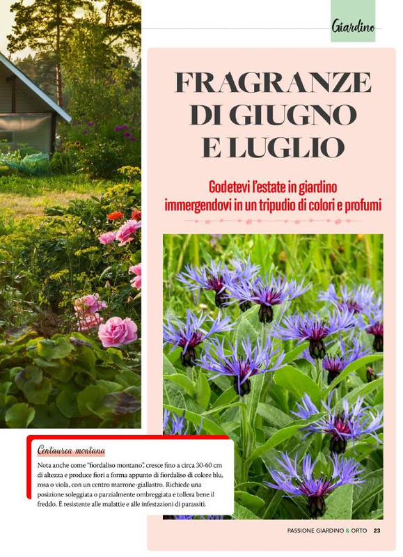 Pass Giar e Orto Giu 2025 (12)