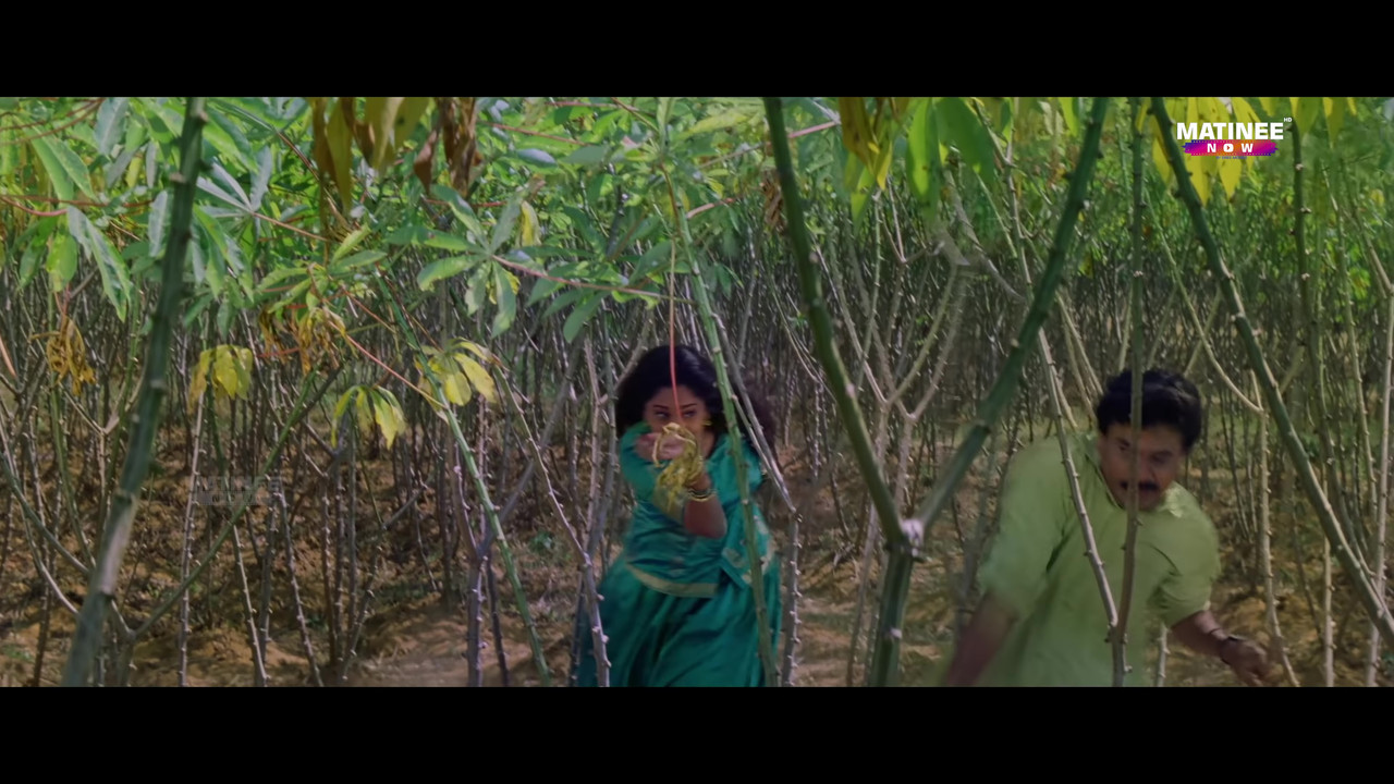 vlcsnap-2021-11-05-22h47m23s235