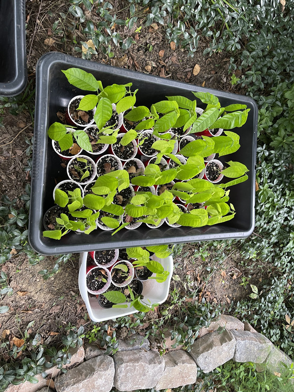 4128DA83-34EB-4689-BB42-F2F8BC9BD73E