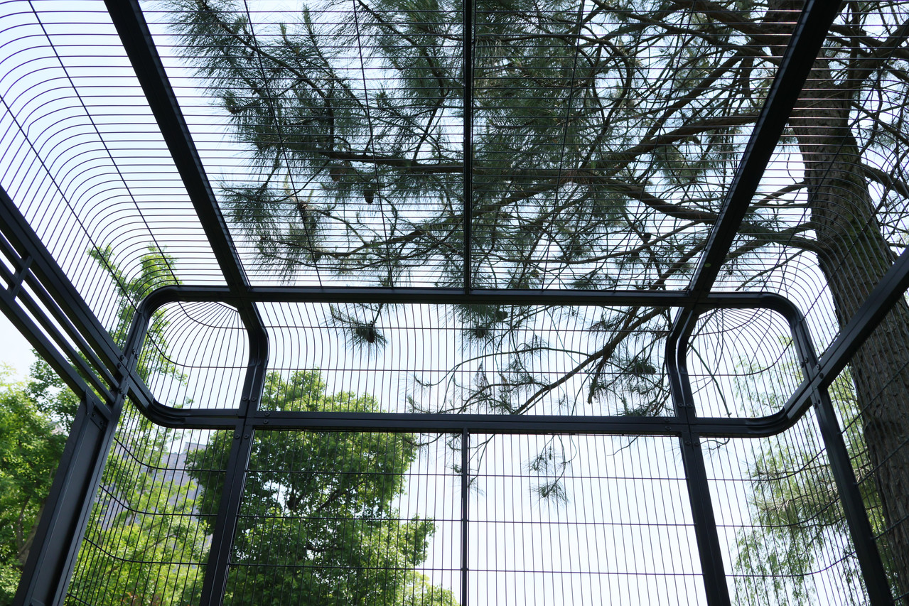 Bird Cage View 2