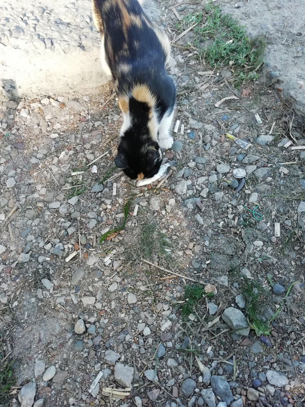 Изображение 1774