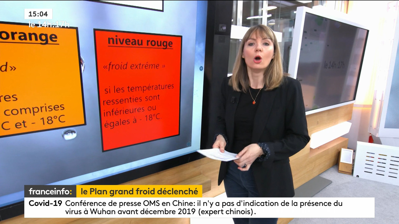 02.09 - 12.59.00 - Le 14h-17h. Au sommaire   Vrai ou fake. - francein..._001.ts_snapshot_00.15.222