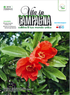 Vita in campagna N. 2 - Febbraio 2018