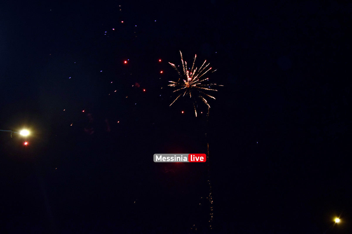 ΔΙΟΚΛΗΣ ΔΕΝΤΡΟ DSC_0004