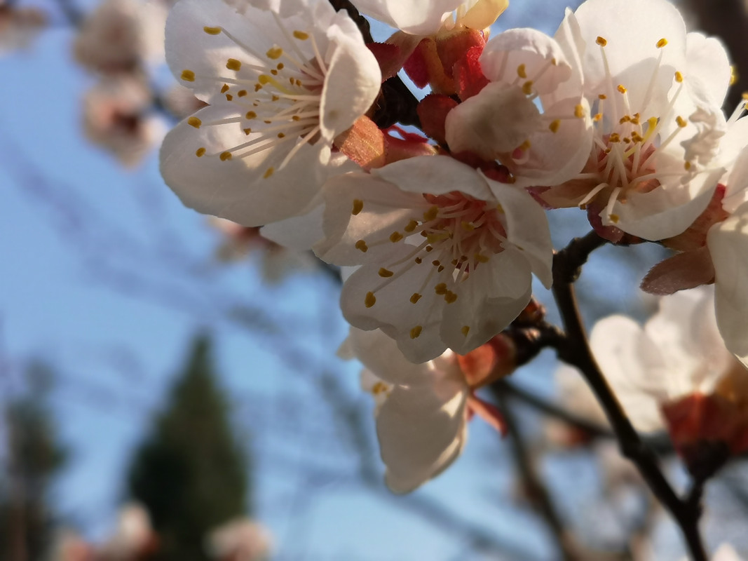 [Obrazek: IMG-20190408-144433.jpg]