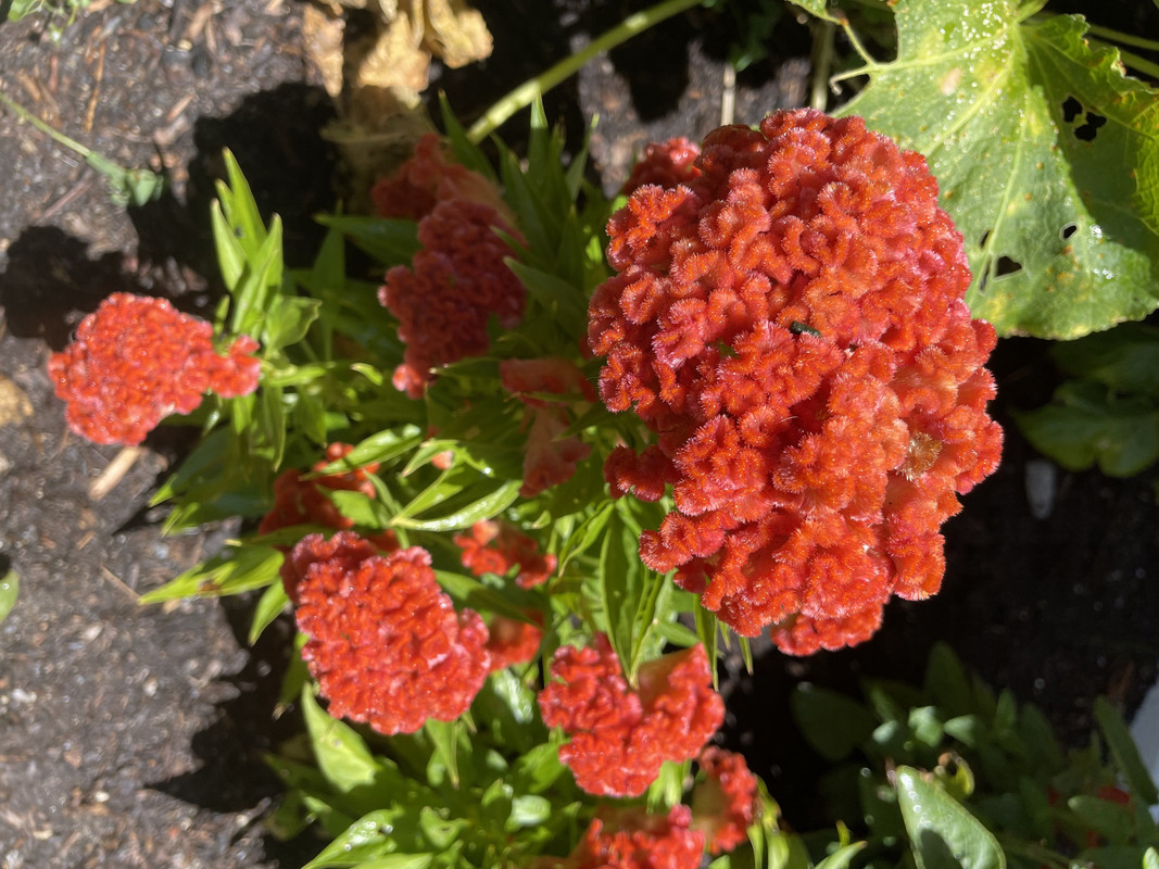 CAE03BAB-DE0A-4046-8744-694703A9BC32