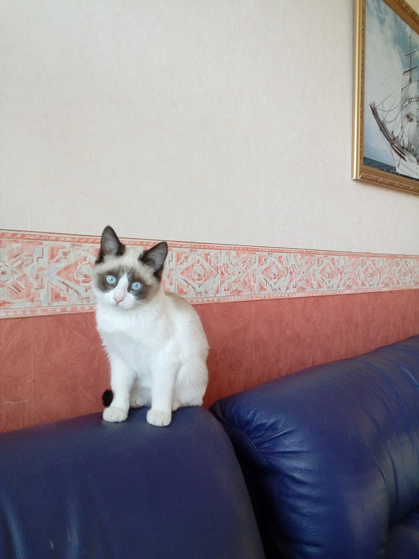 IMG_20181022_122229_1CS