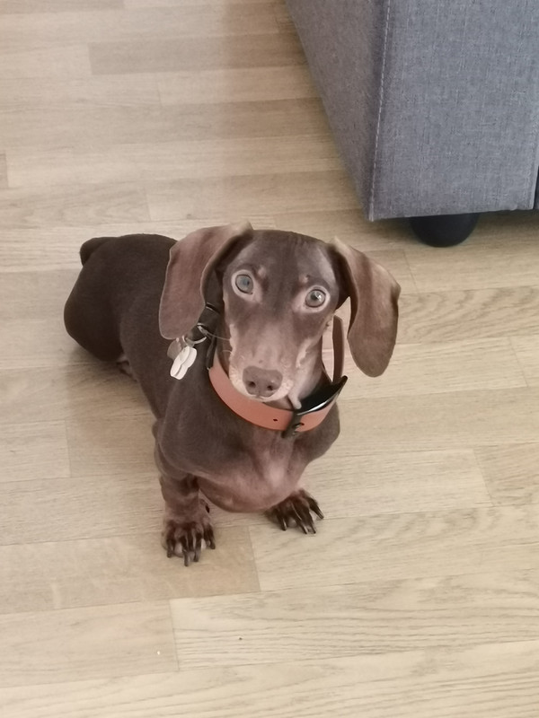 [Image: IMG-20240401-133056.jpg]