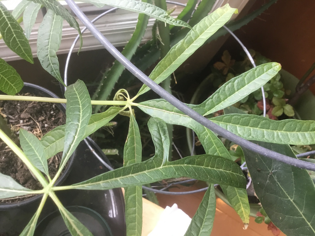 1781A210-BE61-4BAB-9805-D30E048FB9E4