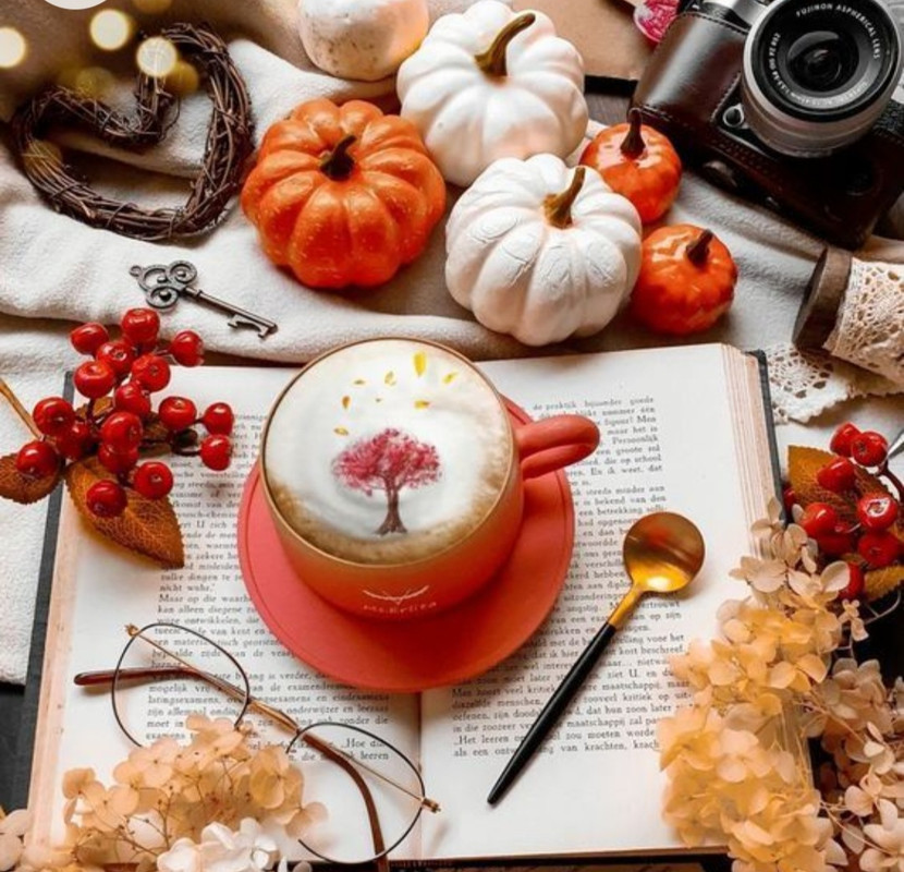 Screenshot_20221213-211416_Chrome