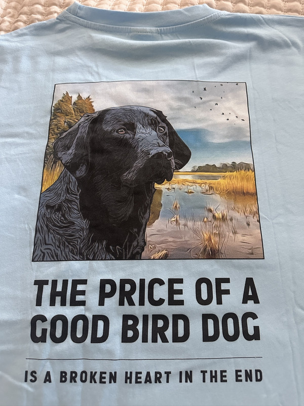 42635828-7596-40EC-8CD6-A471F3B8E5BE_1_102_o