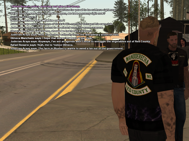 SSRoleplay463.png