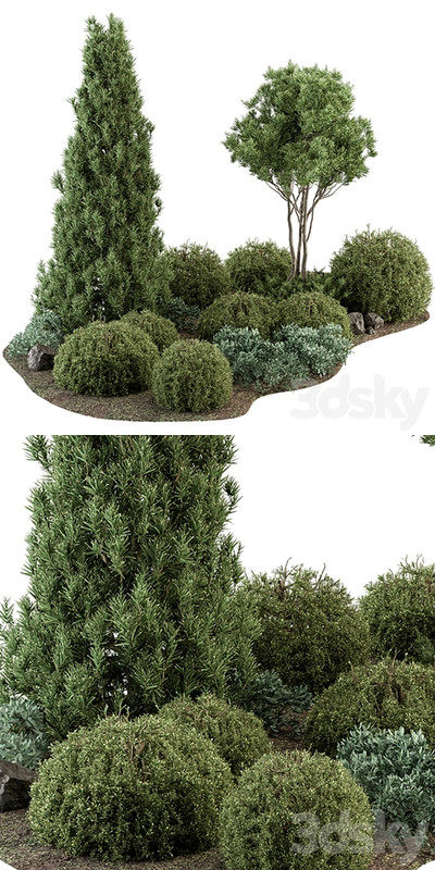 Garden Set Topiary and pine Plants - Outdoor Plants Set 410