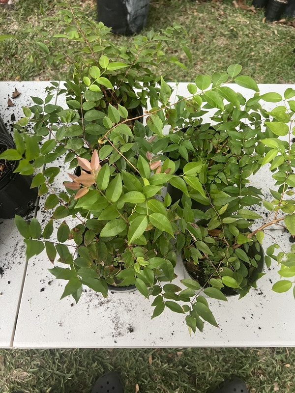 B193626A-6C19-4734-8EF4-DFC04439B2B2