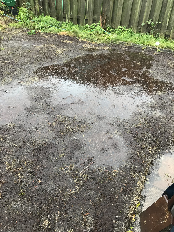 09A959CF-24DC-43FB-AE85-C1965059C8FD