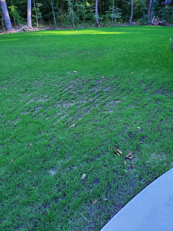 74AB2715-241E-4A75-9F34-6E81340564DE