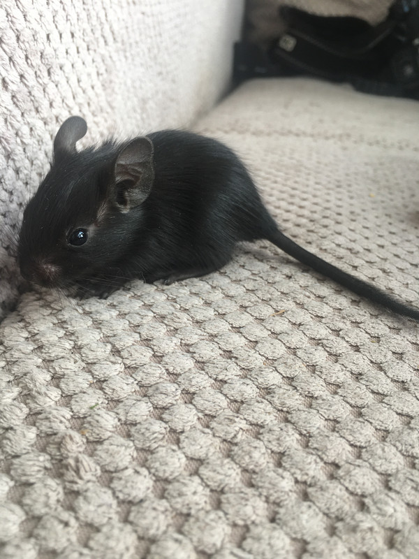 68864A59-B204-4CFB-9EB6-63CE51FAE6B7