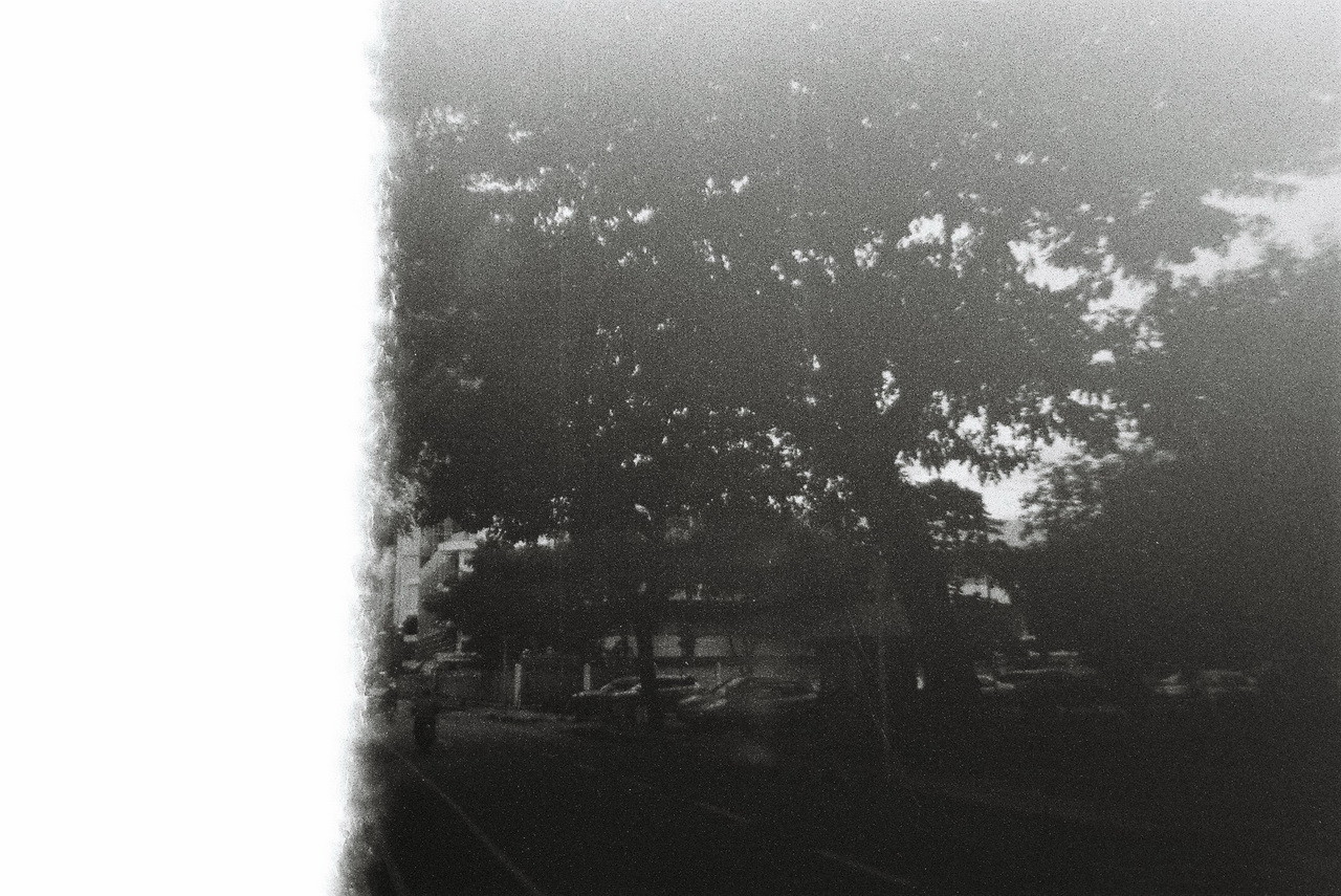 Kentmere-Nov2025-61-resized