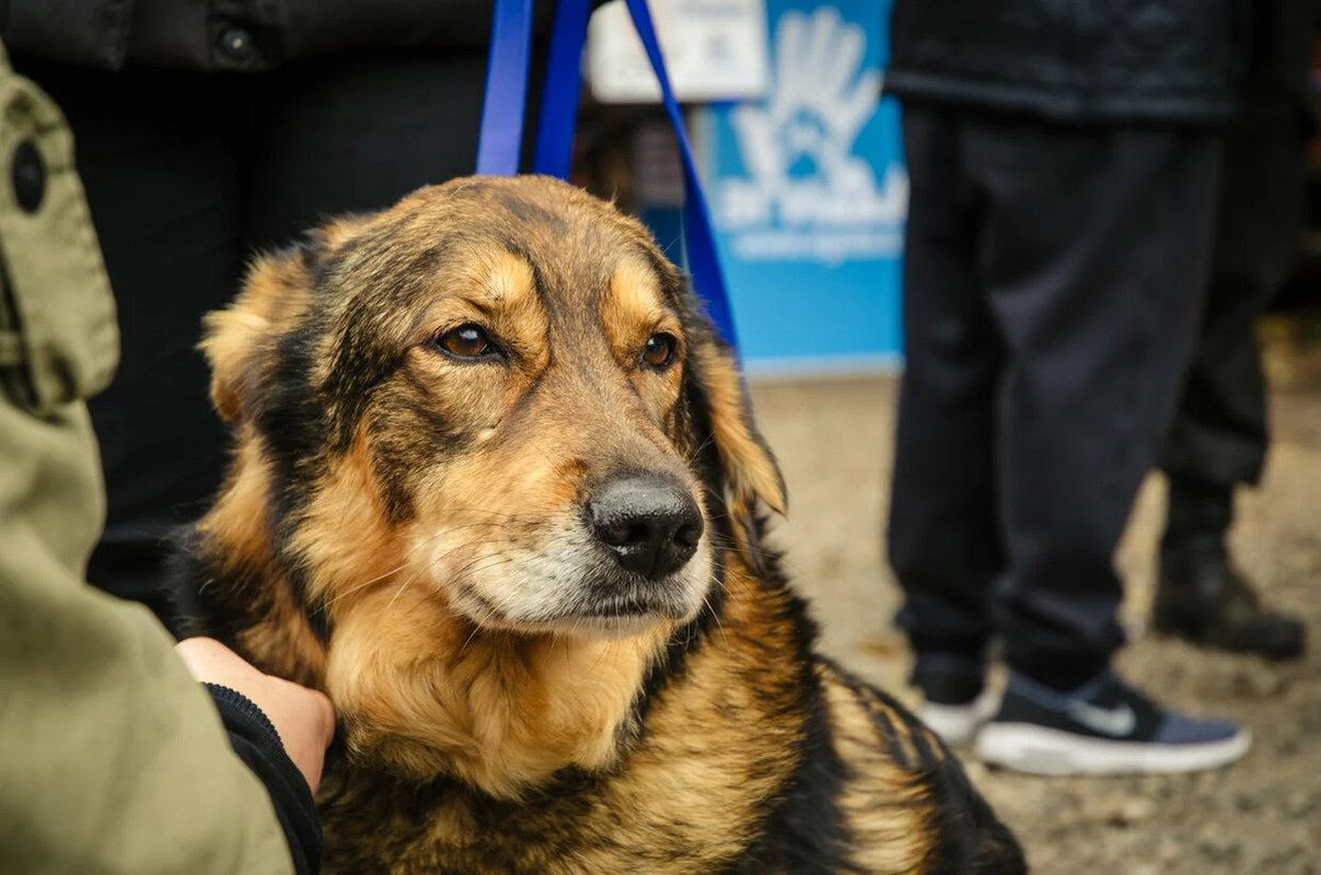 40A4F338-2F64-4BC5-BF45-B0232B4E7250