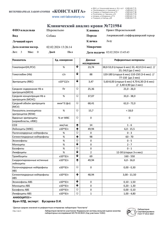 Клинический анализ крови (721984)