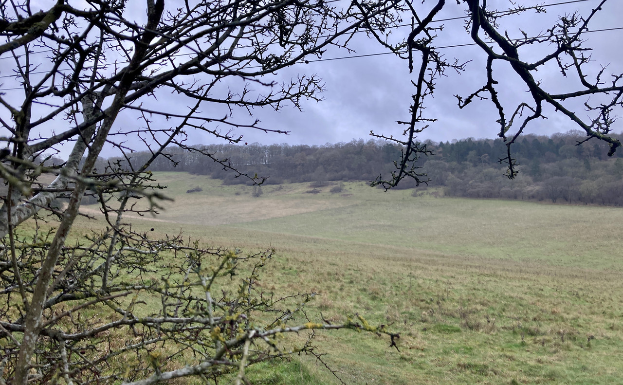 B777979F-39F9-4022-AF88-DACA7D64D43A