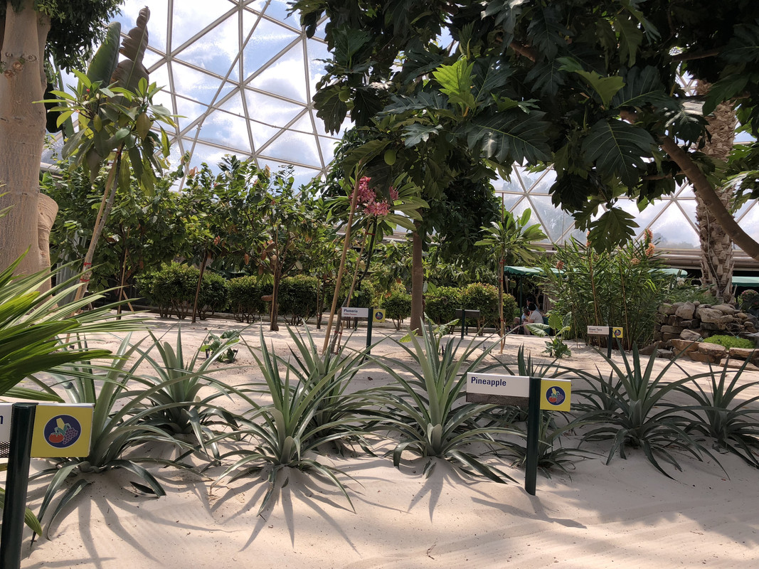 54FE1430-DF2F-4369-91C3-0C1BAA72A81C