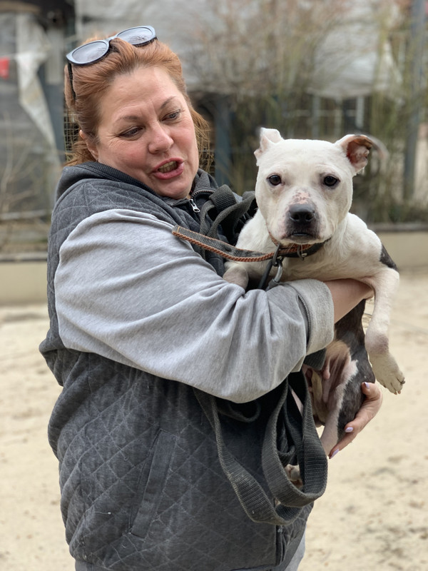 80542A3B-8B50-40F9-97D2-ECC353433C67