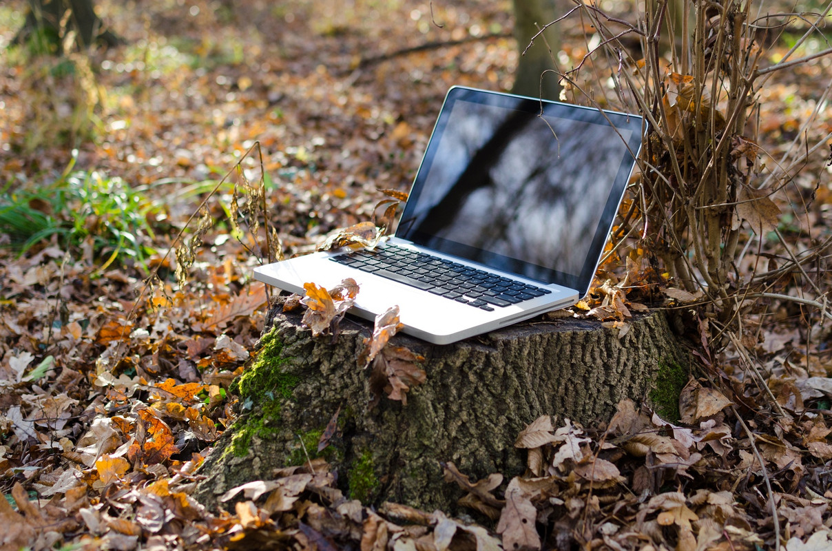 silverlaptopwoods.jpg