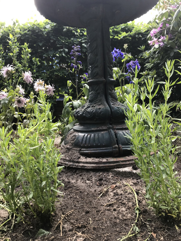 406BFFC4-8CDF-41CD-A40F-C8AA0B0D25FC