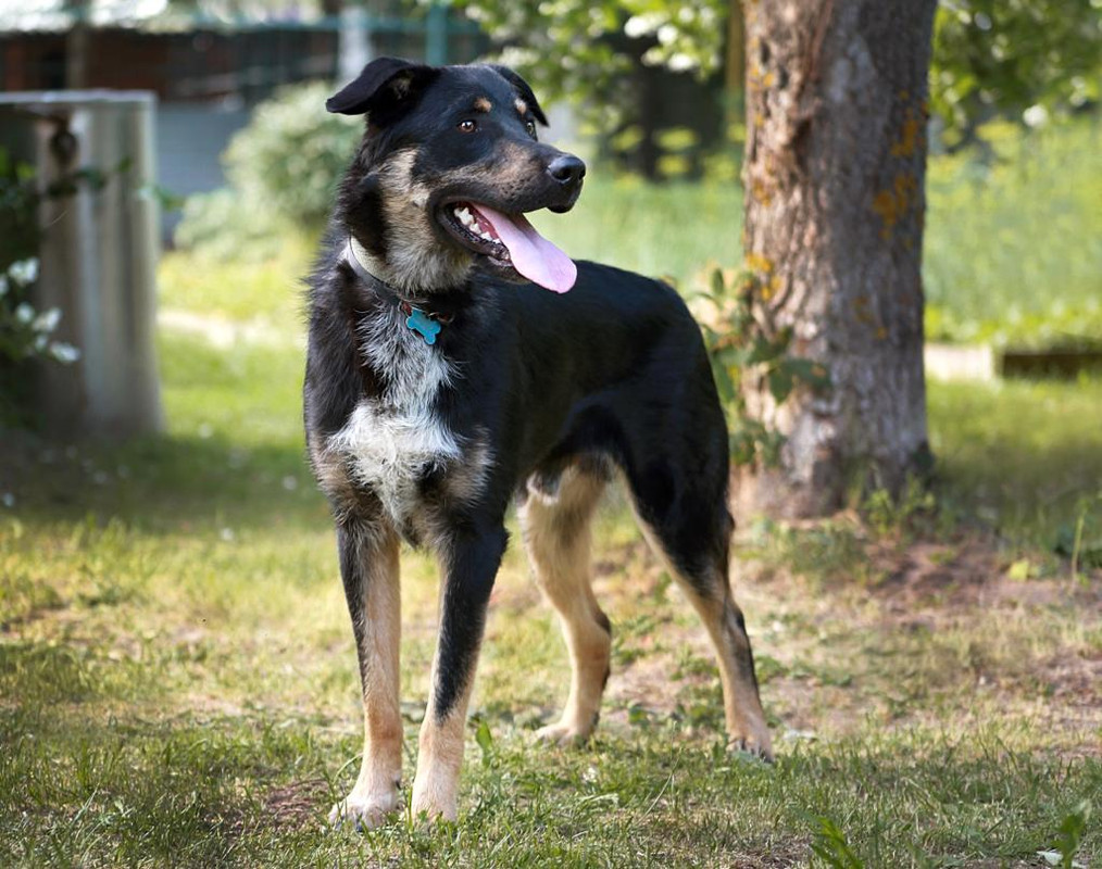 Изображение WhatsApp 2024-08-07 в 15.19.09_4c7f2784