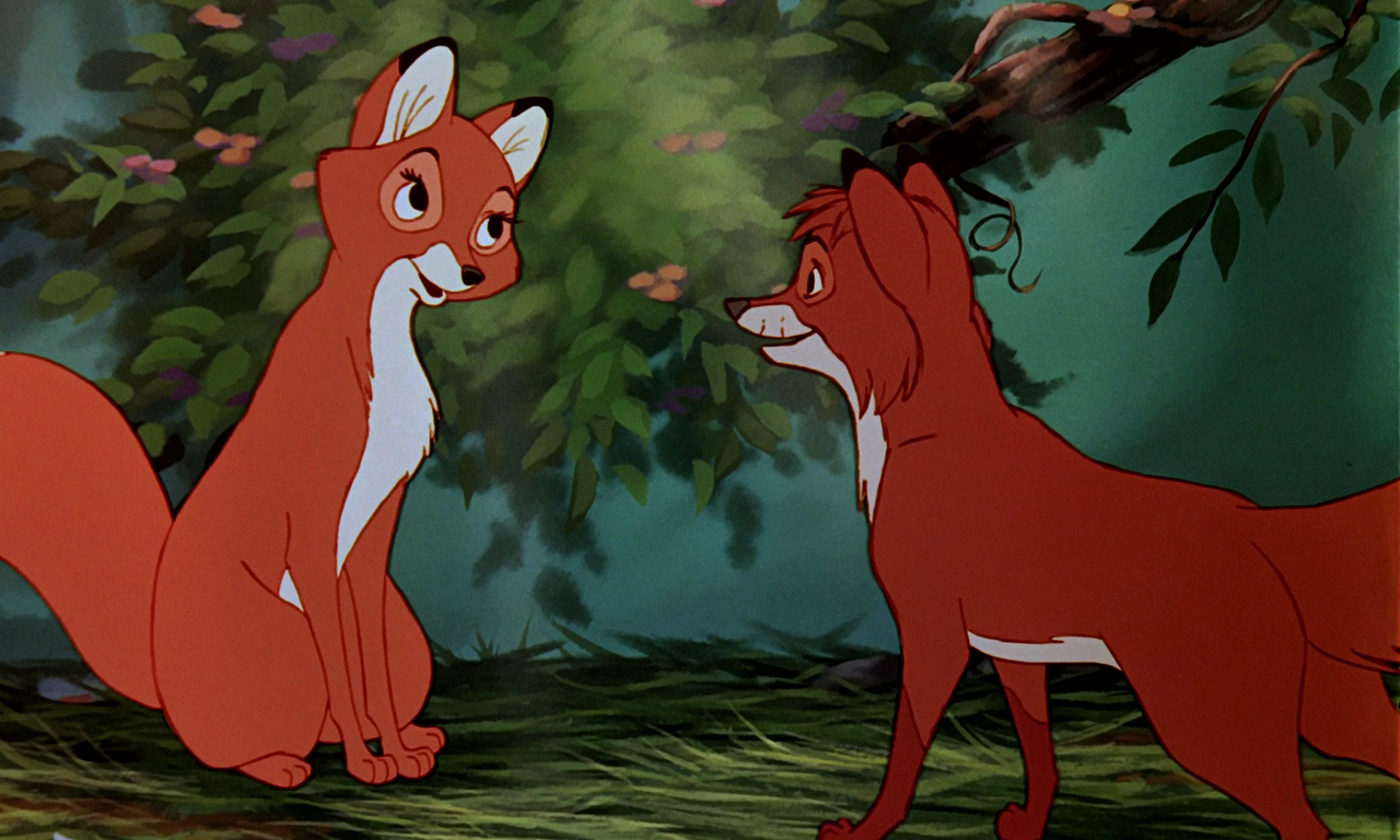 vlcsnap-2023-12-31-11h46m14s945