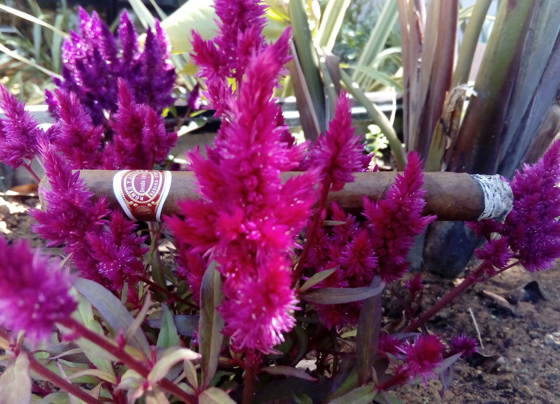 IMG_20200508_164516_649[1]